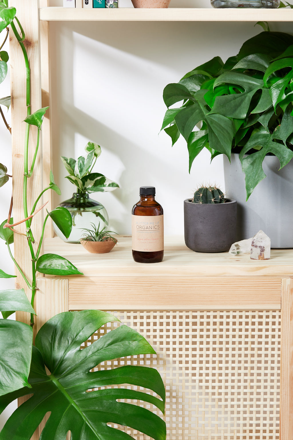 Natural Aged After Shave / Cologne Organic Bay - Govis Bloom